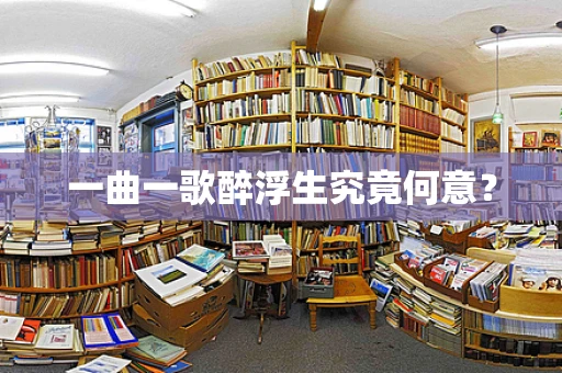 一曲一歌醉浮生究竟何意？