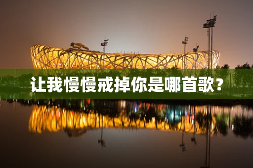 让我慢慢戒掉你是哪首歌？