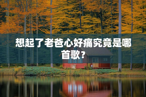 想起了老爸心好痛究竟是哪首歌？