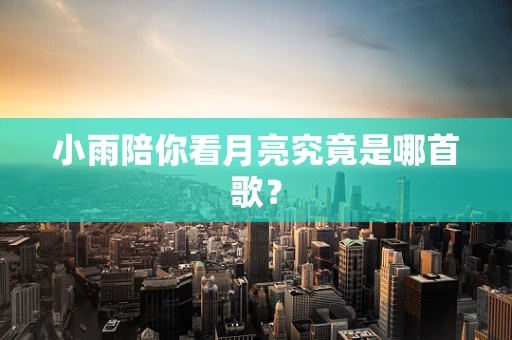 小雨陪你看月亮究竟是哪首歌？