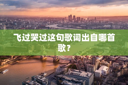 飞过哭过这句歌词出自哪首歌？