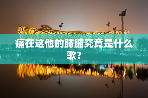 痛在这他的肺腑究竟是什么歌？