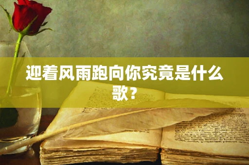 迎着风雨跑向你究竟是什么歌？