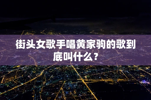 街头女歌手唱黄家驹的歌到底叫什么？