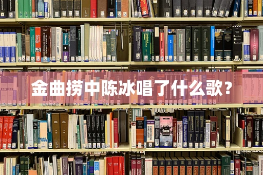 金曲捞中陈冰唱了什么歌？