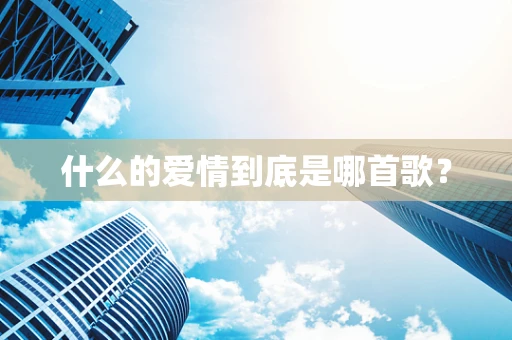 什么的爱情到底是哪首歌？