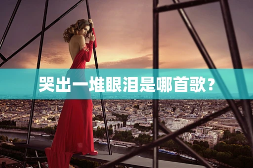 哭出一堆眼泪是哪首歌？
