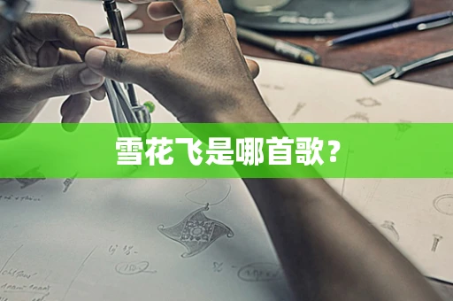 雪花飞是哪首歌？