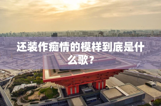 还装作痴情的模样到底是什么歌？