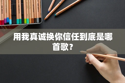 用我真诚换你信任到底是哪首歌？