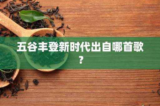 五谷丰登新时代出自哪首歌？