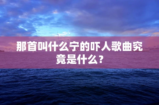 那首叫什么宁的吓人歌曲究竟是什么？