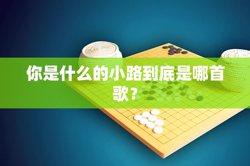 你是什么的小路到底是哪首歌？