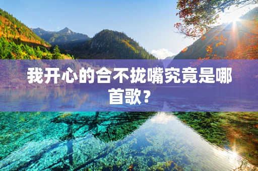 我开心的合不拢嘴究竟是哪首歌？
