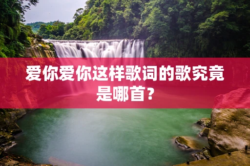 爱你爱你这样歌词的歌究竟是哪首？