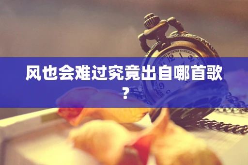 风也会难过究竟出自哪首歌？
