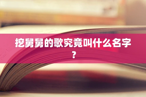 挖舅舅的歌究竟叫什么名字？