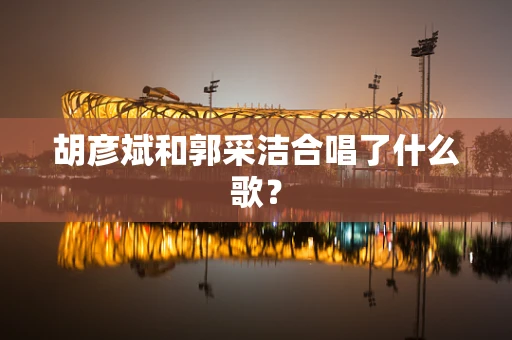 胡彦斌和郭采洁合唱了什么歌？