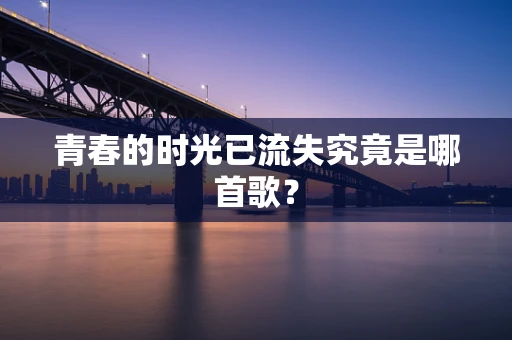 青春的时光已流失究竟是哪首歌？