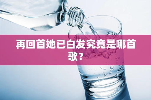 再回首她已白发究竟是哪首歌？