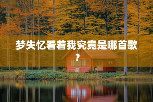 梦失忆看着我究竟是哪首歌？