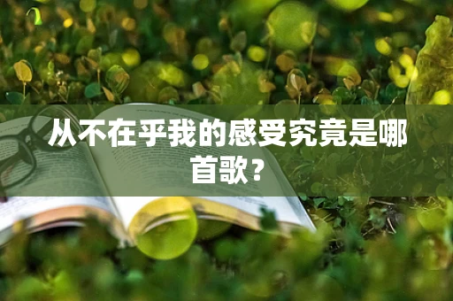 从不在乎我的感受究竟是哪首歌？