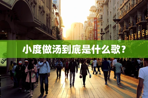 小度做汤到底是什么歌？
