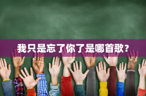 我只是忘了你了是哪首歌？