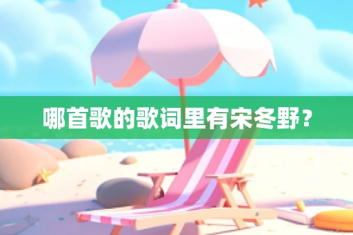 哪首歌的歌词里有宋冬野？