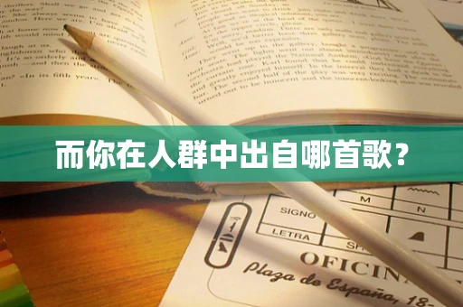 而你在人群中出自哪首歌？