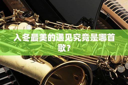 入冬最美的遇见究竟是哪首歌？
