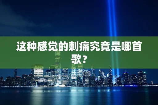 这种感觉的刺痛究竟是哪首歌？