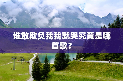 谁敢欺负我我就哭究竟是哪首歌？