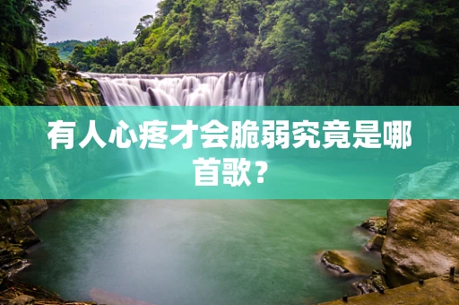 有人心疼才会脆弱究竟是哪首歌？