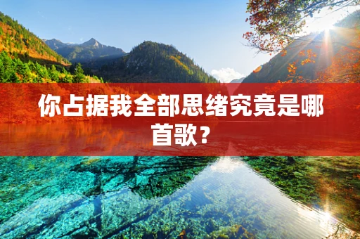 你占据我全部思绪究竟是哪首歌？