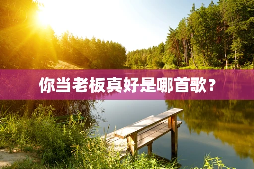 你当老板真好是哪首歌？