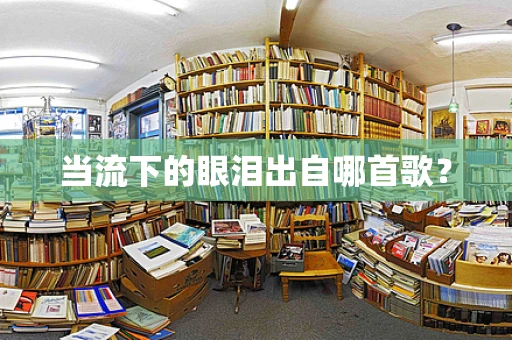 当流下的眼泪出自哪首歌？
