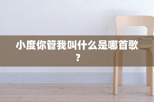 小度你管我叫什么是哪首歌？