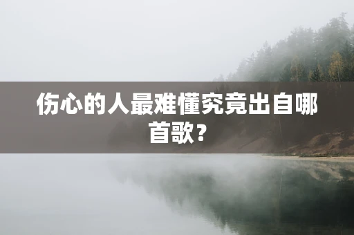 伤心的人最难懂究竟出自哪首歌？