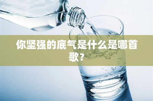 你坚强的底气是什么是哪首歌？