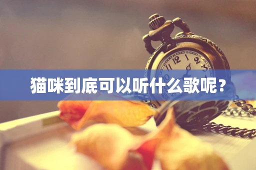 猫咪到底可以听什么歌呢？
