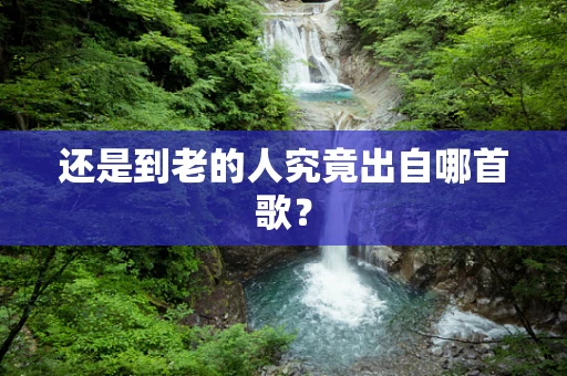 还是到老的人究竟出自哪首歌？