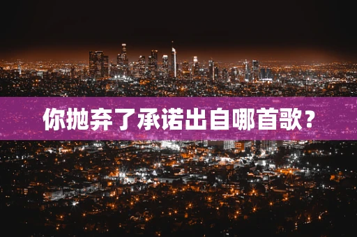你抛弃了承诺出自哪首歌？