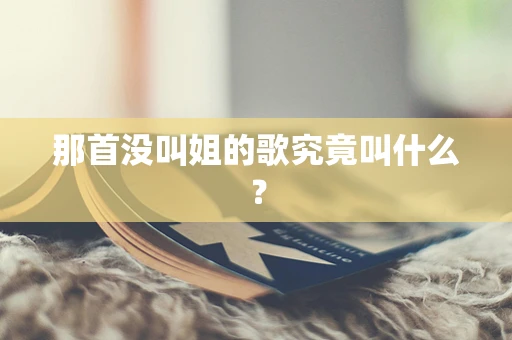 那首没叫姐的歌究竟叫什么？