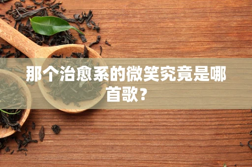 那个治愈系的微笑究竟是哪首歌？