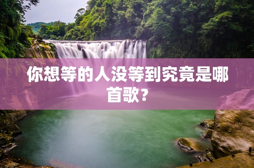 你想等的人没等到究竟是哪首歌？