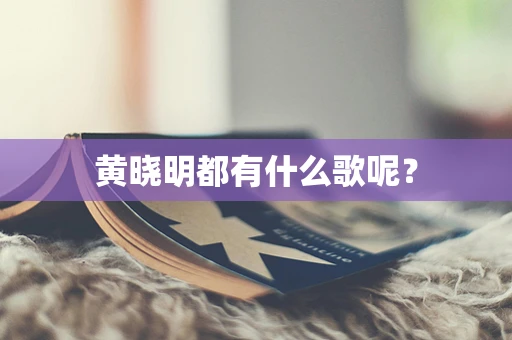 黄晓明都有什么歌呢？