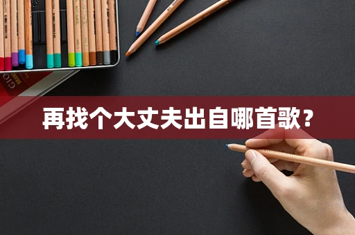 再找个大丈夫出自哪首歌？