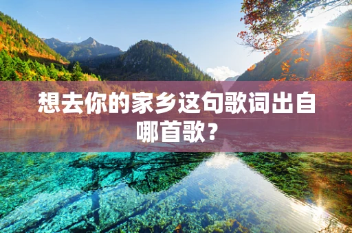 想去你的家乡这句歌词出自哪首歌？