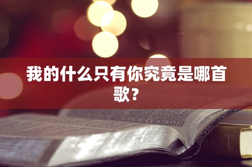 我的什么只有你究竟是哪首歌？